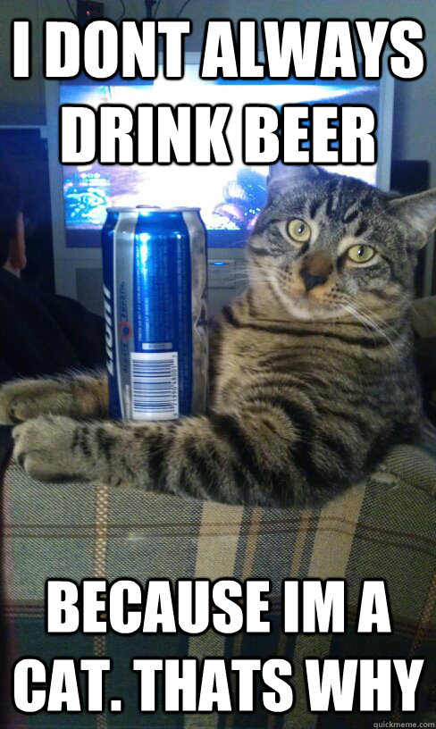 I dont always drink beer Because im a cat. Thats why  