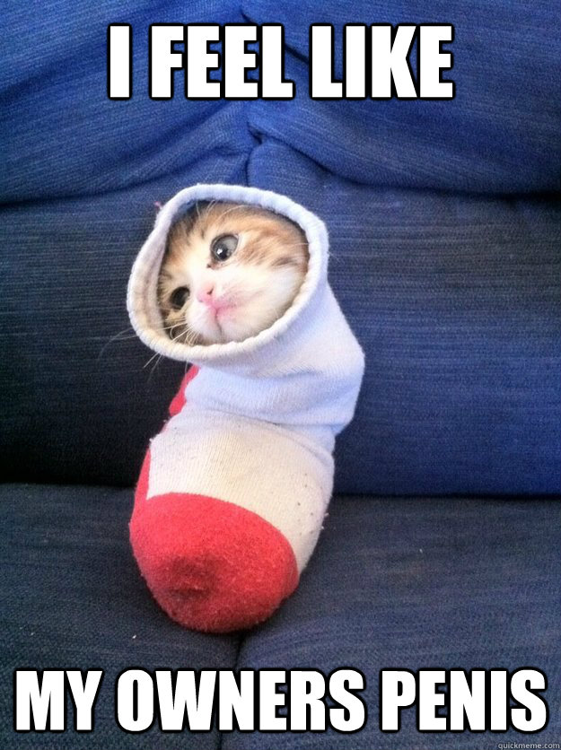 I FEEL LIKE MY OWNERS PENIS - I FEEL LIKE MY OWNERS PENIS  Sock Kitty