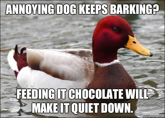 Annoying dog keeps barking? Feeding it chocolate will make it quiet down. - Annoying dog keeps barking? Feeding it chocolate will make it quiet down.  Malicious Advice Mallard