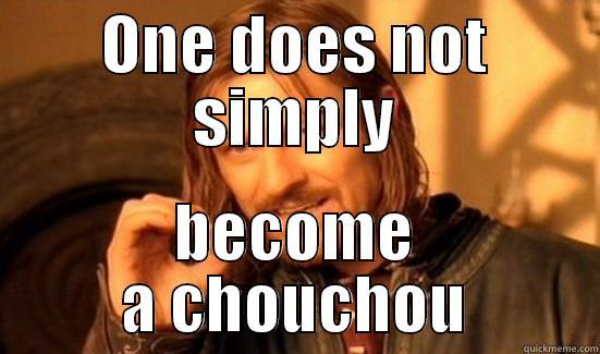 ONE DOES NOT SIMPLY BECOME A CHOUCHOU Boromir