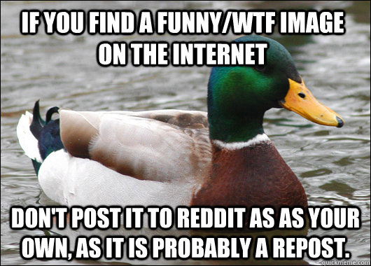IF you find a funny/wtf image on the internet don't post it to reddit as as your own, as it is probably a repost.  Actual Advice Mallard