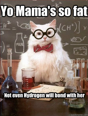 Yo Mama's so fat Not even Hydrogen will bond with her  Chemistry Cat