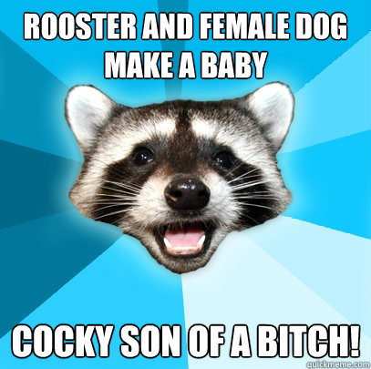Rooster and female dog make a baby Cocky son of a bitch!   Lame Pun Coon
