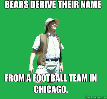 bears derive their name from a football team in chicago.  