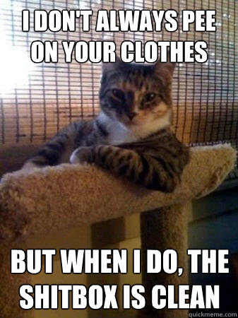 I don't always pee on your clothes but when I do, the shitbox is clean  The Most Interesting Cat in the World