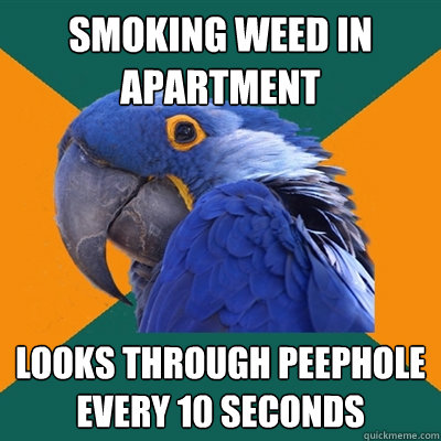 smoking weed in apartment looks through peephole every 10 seconds  Paranoid Parrot