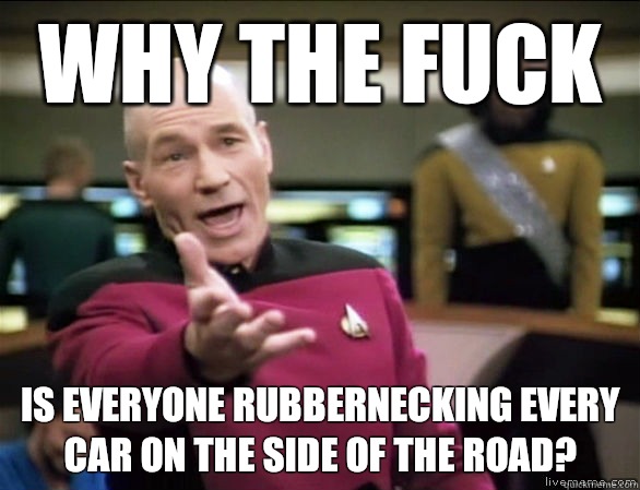 why the fuck Is everyone rubbernecking every car on the side of the road?  Annoyed Picard HD