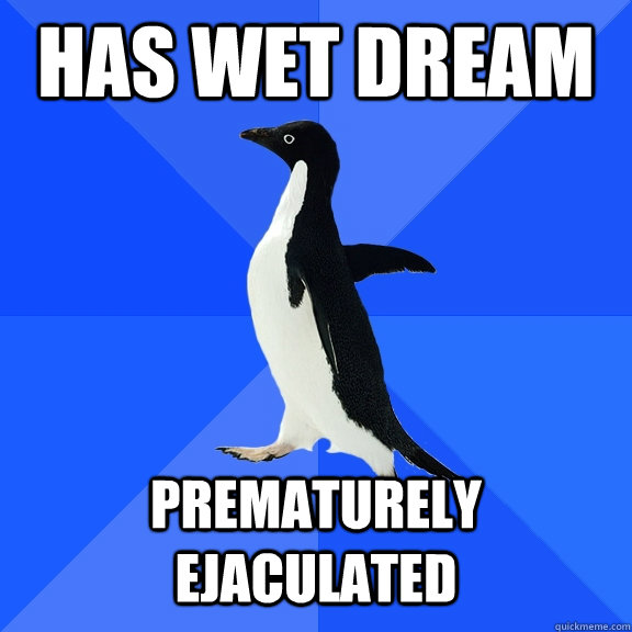 Has Wet Dream Prematurely ejaculated  Socially Awkward Penguin