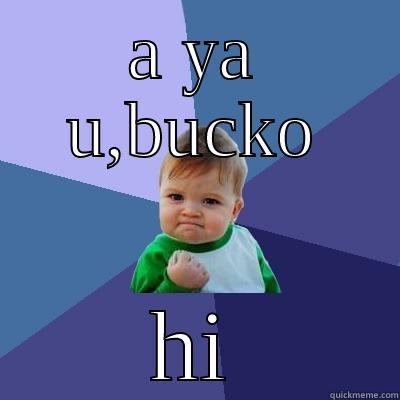 A YA U,BUCKO HI Success Kid