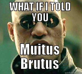 WHAT IF I TOLD YOU MUITUS BRUTUS Matrix Morpheus
