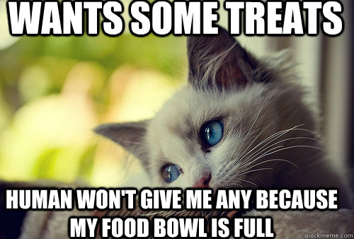 wants some treats human won't give me any because my food bowl is full  First World Cat Problems