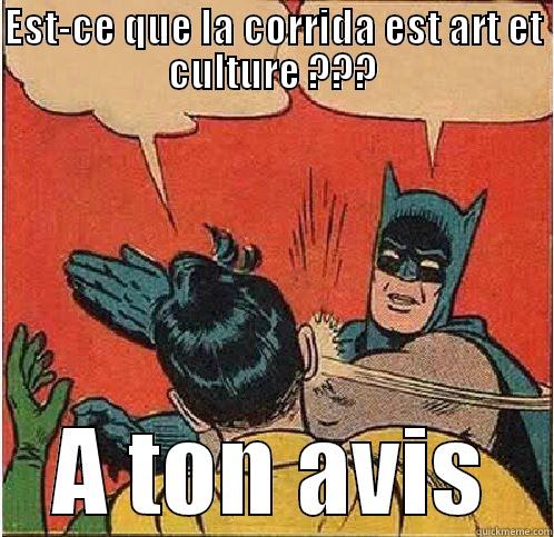 EST-CE QUE LA CORRIDA EST ART ET CULTURE ??? A TON AVIS Batman Slapping Robin