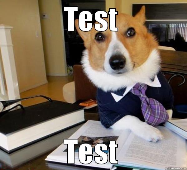 TEST TEST Lawyer Dog