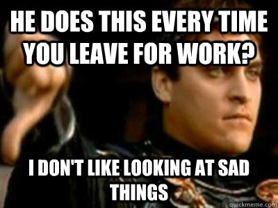 he does this every time you leave for work? I don't like looking at sad things  Downvoting Roman