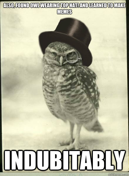 also, found owl wearing top hat! and learned to make memes indubitably  