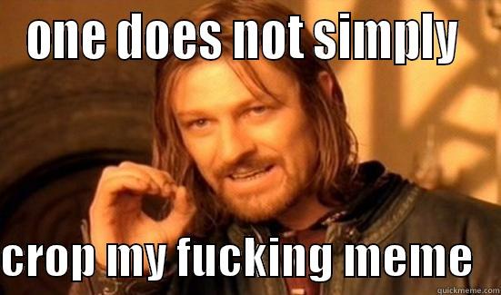 ONE DOES NOT SIMPLY   CROP MY FUCKING MEME   Boromir