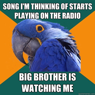 Song i'm thinking of starts playing on the radio big brother is watching me  Paranoid Parrot