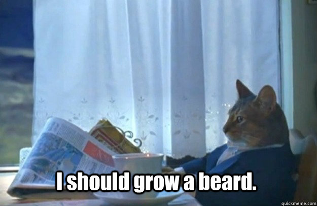 I should grow a beard.  Sophisticated Cat is broke