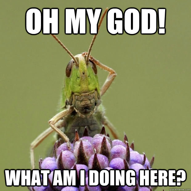 OH MY GOD! What am I doing here?  Confused grasshopper