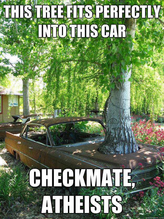 This tree fits perfectly into this car Checkmate, Atheists - This tree fits perfectly into this car Checkmate, Atheists  Car Tree