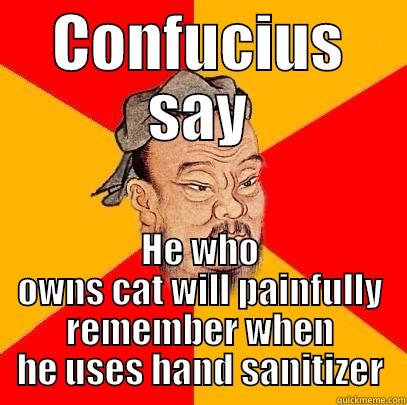 CONFUCIUS SAY HE WHO OWNS CAT WILL PAINFULLY REMEMBER WHEN HE USES HAND SANITIZER Confucius says