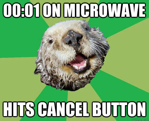 00:01 on microwave hits cancel button  OCD Otter