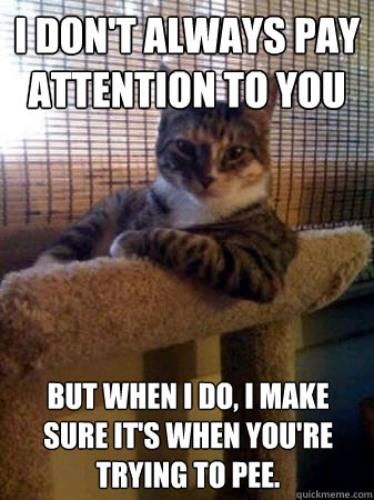 I don't always pay attention to you but when I do, I make sure it's when you're trying to pee.  The Most Interesting Cat in the World
