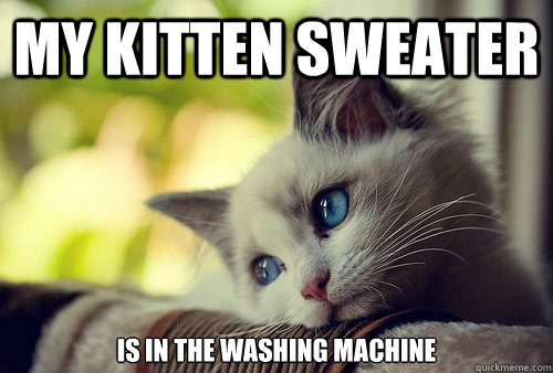 My Kitten Sweater Is in the washing machine  First World Problems Cat