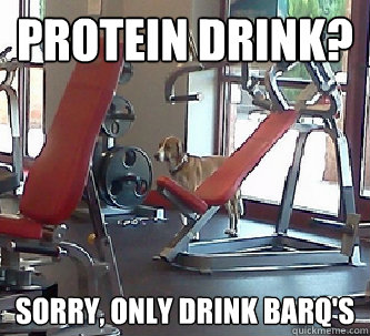 protein drink? Sorry, only drink barq's  