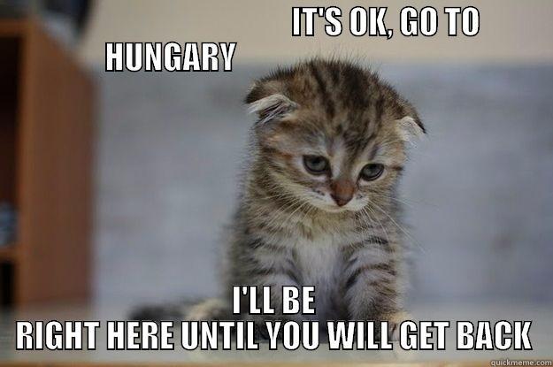                                     IT'S OK, GO TO HUNGARY                                  I'LL BE RIGHT HERE UNTIL YOU WILL GET BACK Misc
