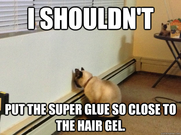 I shouldn't put the super glue so close to the hair gel. - I shouldn't put the super glue so close to the hair gel.  Regretful Cat