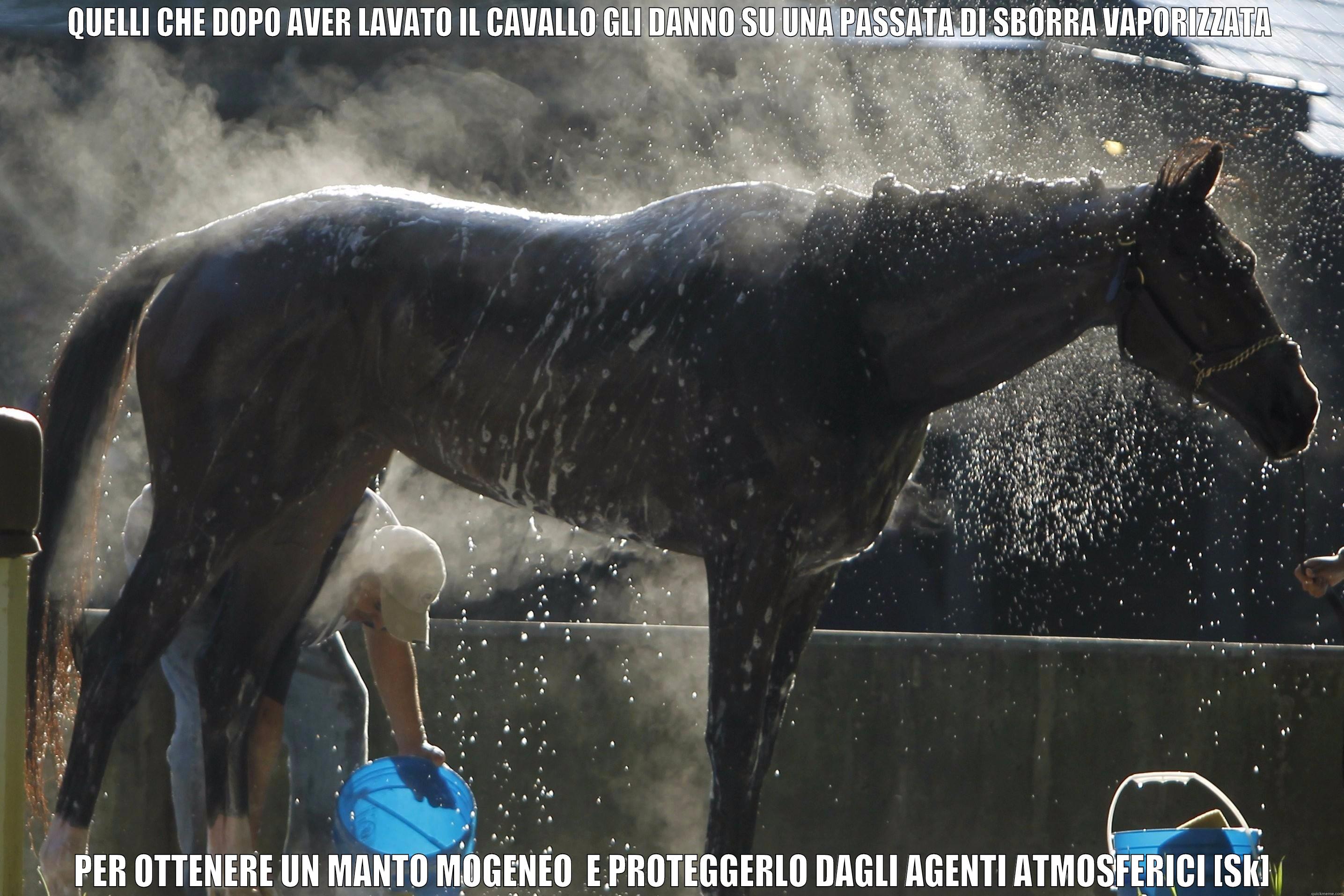 QUELLI CHE DOPO AVER LAVATO IL CAVALLO GLI DANNO SU UNA PASSATA DI SBORRA VAPORIZZATA  PER OTTENERE UN MANTO MOGENEO  E PROTEGGERLO DAGLI AGENTI ATMOSFERICI [SK] Misc