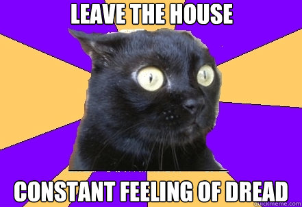 leave the house constant feeling of dread  Anxiety Cat