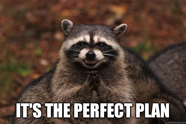  It's the perfect plan  Evil Plotting Raccoon
