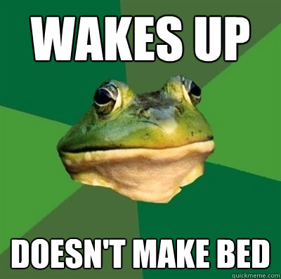 wakes up doesn't make bed - wakes up doesn't make bed  Bachelor frog has no clean clothes