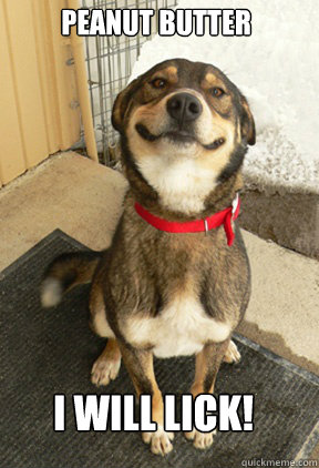 Peanut Butter
on your Balls? I will lick!  Good Dog Greg