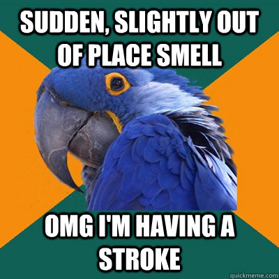 Sudden, slightly out of place smell OMG I'm having a stroke  Paranoid Parrot