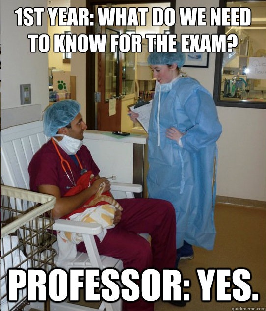 1st year: what do we need to know for the exam? Professor: Yes.  Overworked Veterinary Student