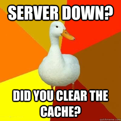 Server down? Did you clear the cache?  Tech Impaired Duck