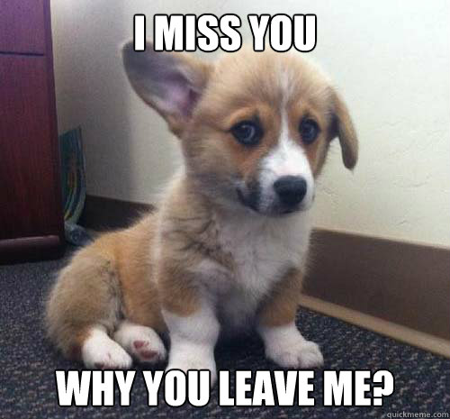 I miss you Why you leave me?  