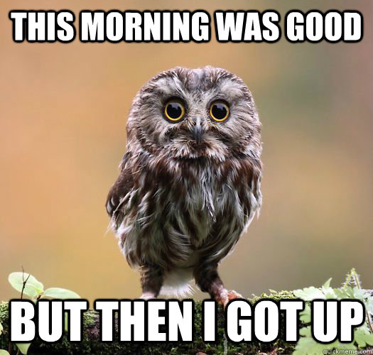 this morning memes | quickmeme