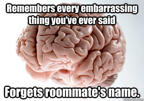 Remembers every embarrassing thing you've ever said Forgets roommate's name.   Scumbag Brain