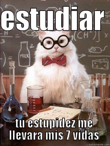 ESTUDIAR  TU ESTUPIDEZ ME LLEVARA MIS 7 VIDAS Chemistry Cat