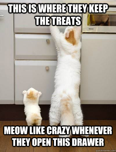 This is where they keep the treats Meow like crazy whenever they open this drawer  Advice Mom Cat