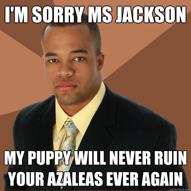 I'm sorry ms jackson my puppy will never ruin your azaleas ever again  Successful Black Man