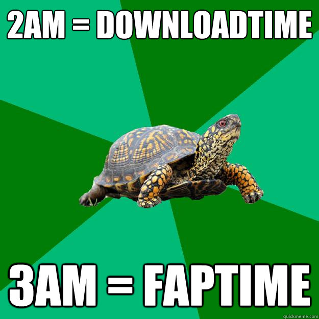 2am = downloadtime 3am = faptime  Torrenting Turtle