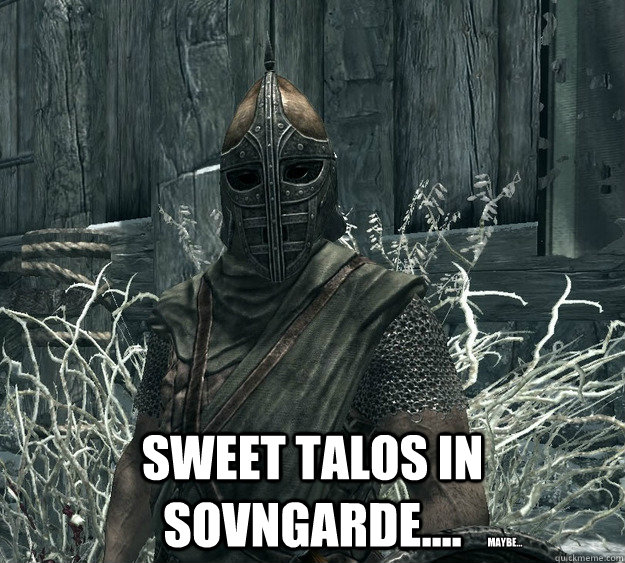 Sweet talos in sovngarde.... Maybe...  Skyrim Guard