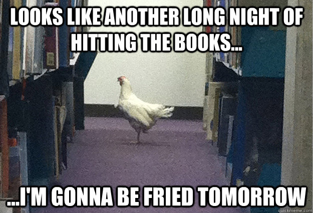 Looks like another long night of hitting the books... ...i'm gonna be fried tomorrow - Looks like another long night of hitting the books... ...i'm gonna be fried tomorrow  Grade-A Chicken