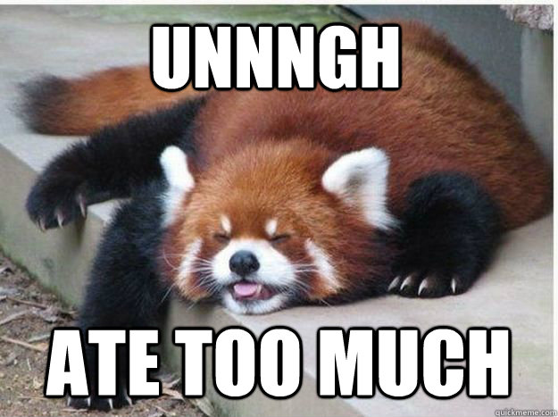 Unnngh Ate too much  Red panda