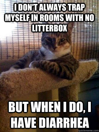I don't always trap myself in rooms with no litterbox but when I do, I have diarrhea  The Most Interesting Cat in the World